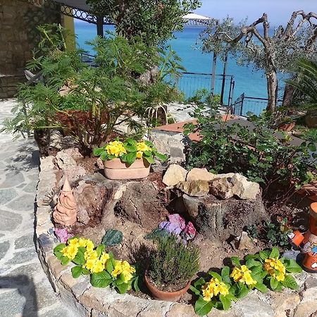 B&B Nido Sul Mare Alassio Exterior foto