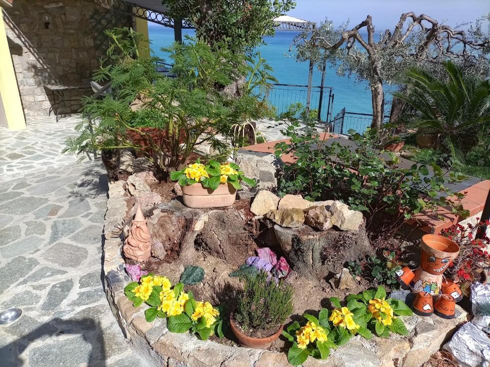 B&B Nido Sul Mare Alassio Exterior foto